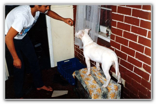 FJ with Boofhead Rosebery St